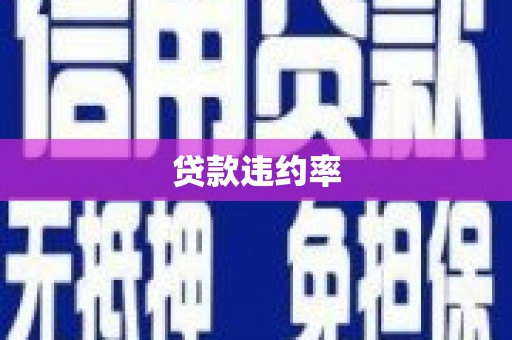 空港贷款违约率