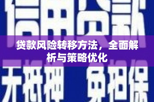 空港贷款风险转移方法，全面解析与策略优化