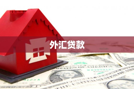 空港外汇贷款
