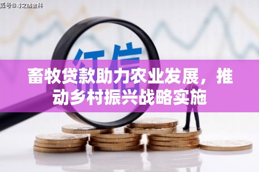 空港畜牧贷款助力农业发展，推动乡村振兴战略实施