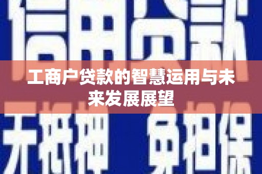 空港工商户贷款的智慧运用与未来发展展望