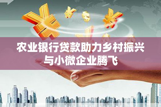 空港农业银行贷款助力乡村振兴与小微企业腾飞