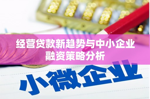 空港经营贷款新趋势与中小企业融资策略分析