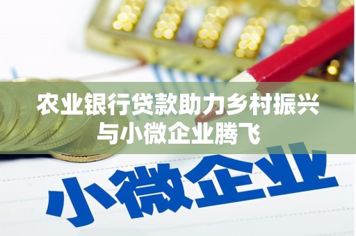 空港农业银行贷款助力乡村振兴与小微企业腾飞