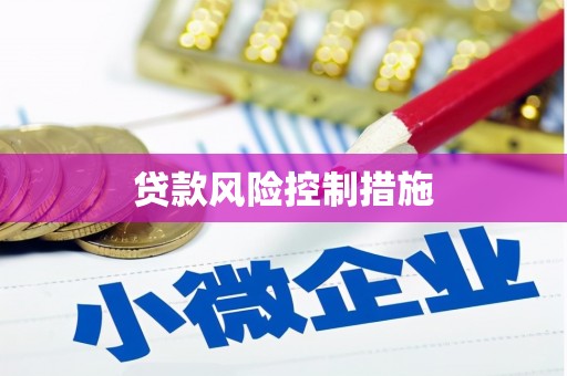 空港贷款风险控制措施