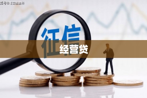 空港经营贷