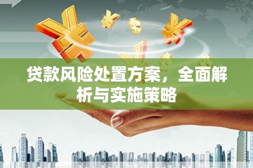 空港贷款风险处置方案，全面解析与实施策略