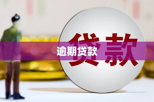 空港逾期贷款